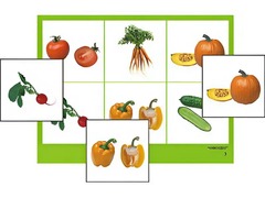 Логопедическое лото "Овощи" (4 планшета, 24 карточки, цветное, ламинированное) - fgospostavki.ru - Рязань