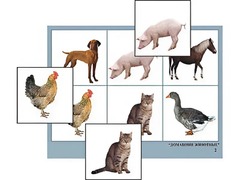 Логопедическое лото "Домашние животные" (4 планшета, 24 карточки, цветное, ламинированное) - fgospostavki.ru - Рязань