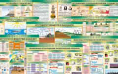 Комплект таблиц "Экология (9 листов)" (100х140 сантиметров, винил) - fgospostavki.ru - Рязань