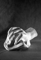 Кисть Давида (гипс) - fgospostavki.ru - Рязань