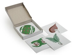 Модель-аппликация "Размножение папоротника" (набор из 8 карт) - fgospostavki.ru - Рязань