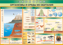 Таблица "Организмы и среды их обитания" (100х140 сантиметров, винил) - fgospostavki.ru - Рязань