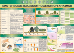 Таблица "Биотические взаимоотношения организмов" (100х140 сантиметров, винил) - fgospostavki.ru - Рязань