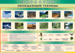 Таблица "Экология. Обобщающие таблицы" (100х140 сантиметров, винил) - fgospostavki.ru - Рязань