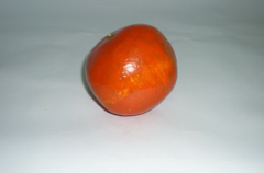 Муляж "Гранат" - fgospostavki.ru - Рязань