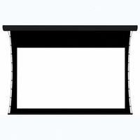 Экран настенный с электроприводом DSTPX-16918 - fgospostavki.ru - Рязань