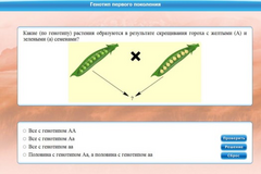 Интерактивные курсы. Биология 11 класс. Базовый. - fgospostavki.ru - Рязань