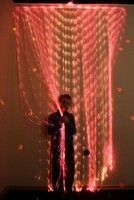 Мерцающий занавес в комплекте с источником света - fgospostavki.ru - Рязань