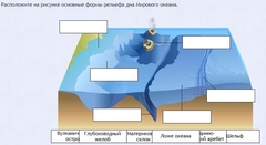 Интерактивные курсы. География 7 класс . Базовый. - fgospostavki.ru - Рязань
