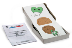 Модель-аппликация "Размножение одноклеточной водоросли" (набор из 11 карт) - fgospostavki.ru - Рязань