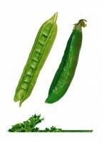 Комплект карточек "Запоминай, играй, считай" -  Овощи - fgospostavki.ru - Рязань