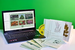 Гербарий натурально-интерактивный "Лекарственные растения" - fgospostavki.ru - Рязань