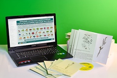 Гербарий натурально-интерактивный "Сельскохозяйственные растения" - fgospostavki.ru - Рязань