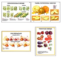 Плакаты ПРОФТЕХ "Ассортимент овощных культур" (12 пл, винил, 70х100) - fgospostavki.ru - Рязань