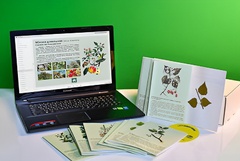 Гербарий натурально-интерактивный "Деревья и кустарники" - fgospostavki.ru - Рязань