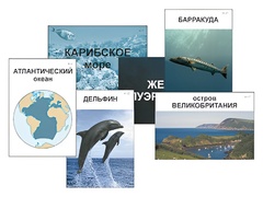 Модель-аппликация "Океаны. Знакомство" (ламинированная) - fgospostavki.ru - Рязань