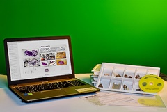 Коллекция натурально-интерактивная "Кварц в природе" - fgospostavki.ru - Рязань