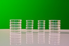 Набор чашек Петри - fgospostavki.ru - Рязань