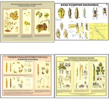 Плакаты ПРОФТЕХ "Вредители и болезни с/х культур и меры борьбы с ними" (11 пл, винил, 70х100) - fgospostavki.ru - Рязань