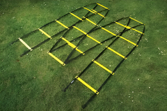 Лестница для тренировок (вариант 1) - fgospostavki.ru - Рязань