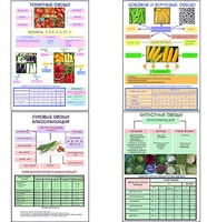 Плакаты ПРОФТЕХ "Классификация овощей" (11 пл, винил, 70х100) - fgospostavki.ru - Рязань