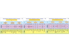 Плакаты ПРОФТЕХ "Ассортимент продовольственных товаров" (3 пл, винил, 70х100) - fgospostavki.ru - Рязань
