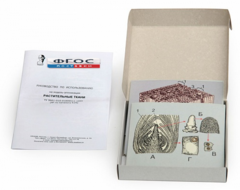 Модель-аппликация "Растительные ткани" (набор из 15 карт) - fgospostavki.ru - Рязань