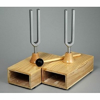 Камертоны на резонансных ящиках с молоточком - fgospostavki.ru - Рязань