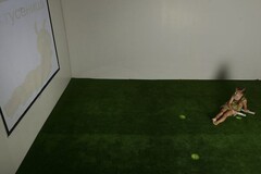 Интерактивная светозвуковая система “Лайт Бим” - fgospostavki.ru - Рязань