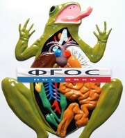 Модель барельефная "Внутреннее строение лягушки" - fgospostavki.ru - Рязань