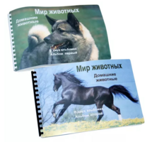 Пособие для слабовидящих - Домашние животные - fgospostavki.ru - Рязань