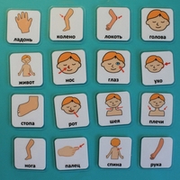 Набор карточек "Части тела" - fgospostavki.ru - Рязань