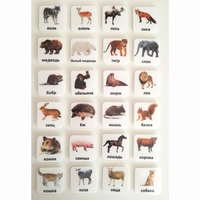 Набор карточек "ЖИВОТНЫЕ" - fgospostavki.ru - Рязань