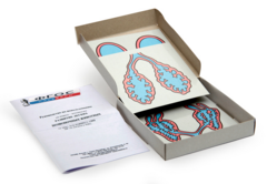 Модель-аппликация "Развитие легких позвоночных животных" (набор из 5 карт) - fgospostavki.ru - Рязань