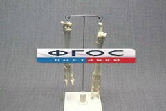 Скелет конечности овцы (передняя и задняя) на подставке - fgospostavki.ru - Рязань