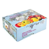 Набор муляжей "Дикая форма и культурные сорта яблок" - fgospostavki.ru - Рязань