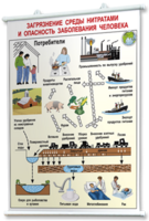 Плакаты по общей экологии для оформления кабинета. - fgospostavki.ru - Рязань