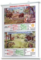 Плакаты по географии России для оформления кабинета. - fgospostavki.ru - Рязань