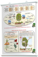 Плакаты по природоведению 2-3 классы. Для оформления кабинета. - fgospostavki.ru - Рязань