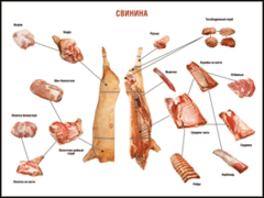 Таблица "Правила разделки мясных туш. Свинина" (100х140 сантиметров. винил) - fgospostavki.ru - Рязань