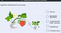 Интерактивные курсы. Биология 7 класс. Расширенный. - fgospostavki.ru - Рязань