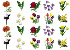 Комплект карточек "Запоминай, играй, считай" - Цветы - fgospostavki.ru - Рязань