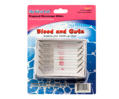 Набор микропрепаратов для микроскопа №1 «Человек» - fgospostavki.ru - Рязань