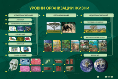 Электрифицированный стенд "Уровни организации жизни" - fgospostavki.ru - Рязань