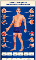Электрифицированный стенд-тренажер "Травматизм и меры оказания первой помощи" - fgospostavki.ru - Рязань