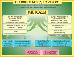 Стенд "Методы селекции и биотехнологии" - fgospostavki.ru - Рязань
