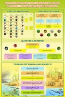 Стенд "Классификация животного мира" - fgospostavki.ru - Рязань