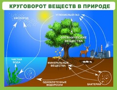 Стенд "Круговорот веществ" - fgospostavki.ru - Рязань