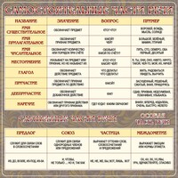 Стенд "Самостоятельные части речи" Вариант 2 - fgospostavki.ru - Рязань