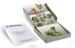 Модель-аппликация "Взаимодействия в природных сообществах" (набор из 23 карт) - fgospostavki.ru - Рязань